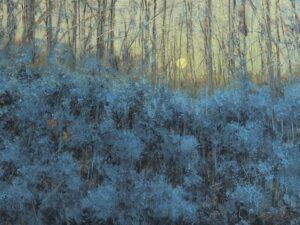 Abstract forest-inspired painting Neel by contemporary Indian Artist Vinita Sadarangani